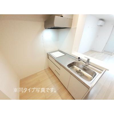Ｔ´ｓハウスⅢ 203【管理NO：1-027904101-02030】 2026年09月上旬入居可能の物件画像