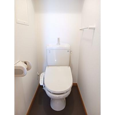 スプリングヤード 203【管理NO：1-015174001-02030】 ★家具家電は申し込み後に搬入しますの物件画像
