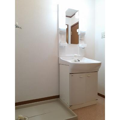 エクセル笹木野 203【管理NO：1-011537901-02030】 ★家具家電は申し込み後に搬入します★の物件画像
