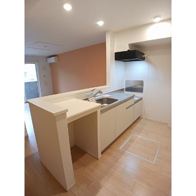 カーサカメリアⅠ 102【管理NO：1-021939301-01020】の物件画像