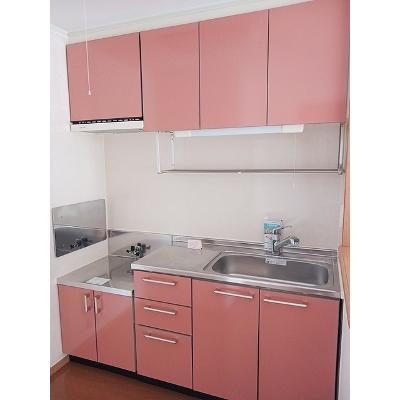 メロディハウス　メゾフォルテ 201【管理NO：1-013549701-02010】 ★家具家電は申し込み後に搬入します★の物件画像