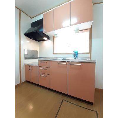 サニーパレスⅡ 102【管理NO：1-013313301-01020】 ★家具家電は申し込み後に搬入します★の物件画像