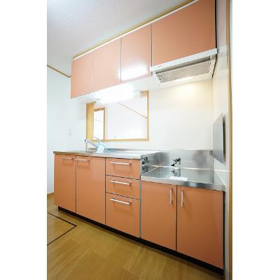サニーパレスⅡ 101【管理NO：1-013313301-01010】 ★家具家電は申し込み後に搬入します★の物件画像