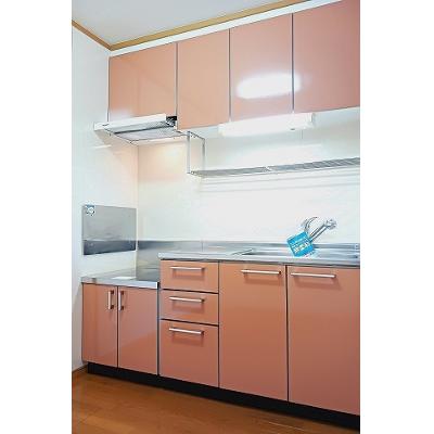 フェニックス大日向 203【管理NO：1-013283901-02030】 ★家具家電は申し込み後に搬入します 2026年07月下旬入居可能の物件画像