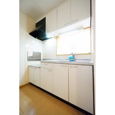 ピースフルハウスＹＭ 206【管理NO：1-014523501-02050】 ★家具家電は申し込み後に搬入しますの物件画像