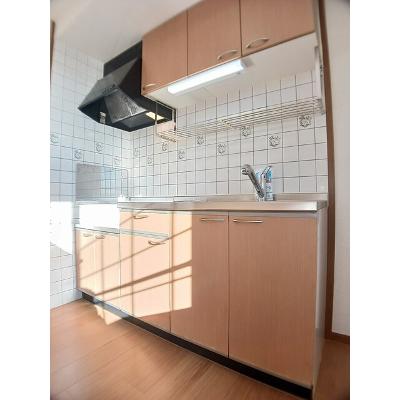エクセレント・川田 202【管理NO：1-010974001-02020】 ★家具家電は申し込み後に搬入します★の物件画像