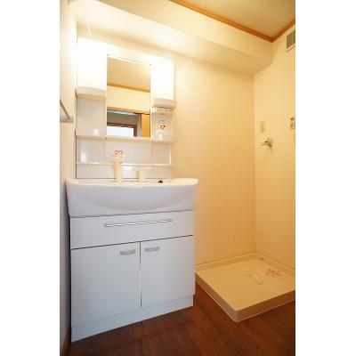 Ｆｌｏｗｅｒ 205【管理NO：1-014308501-02040】 ★家具家電は申し込み後に搬入します★の物件画像