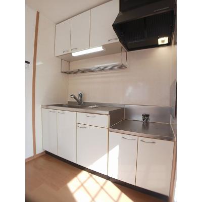 エクセレント・Ａ 201【管理NO：1-013900701-02010】 ★家具家電は申し込み後に搬入します★の物件画像
