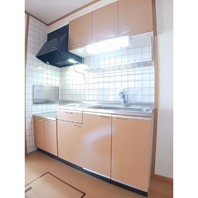 カーサ　プレシードＢ 102【管理NO：1-012245402-01020】 ★家具家電は申し込み後に搬入します★の物件画像