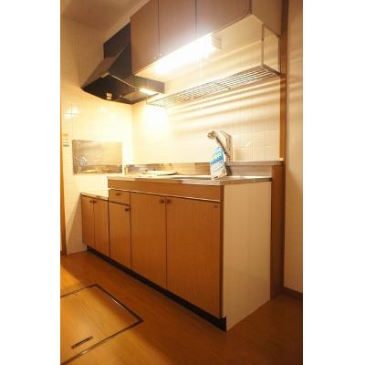 エコハウス　ＩＧ　Ａ棟 103【管理NO：1-010052701-01030】 ★家具家電は申し込み後に搬入します★の物件画像