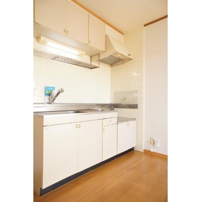 チェリーハイム 202【管理NO：1-007450001-02020】 ★家具家電は申し込み後に搬入します★の物件画像