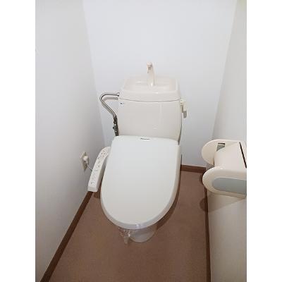 セリーヌ 201【管理NO：1-007323401-02010】 ★家具家電は申し込み後に搬入します★の物件画像