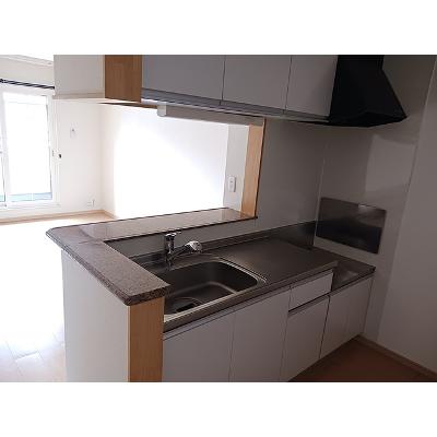 サンライトＤ 203【管理NO：1-016289201-02030】 ★家具家電は申し込み後に搬入します★の物件画像