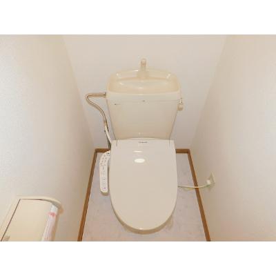 メゾンソリアード 203【管理NO：1-009455501-02030】 ★家具家電は申し込み後に搬入します★の物件画像