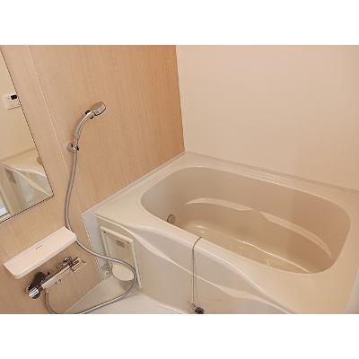 エレガント 303【管理NO：1-028256101-03030】 ★家具家電は申し込み後に搬入します★の物件画像