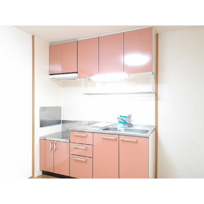 サンライト　プリティー 103【管理NO：1-012974601-01030】 ★家具家電は申し込み後に搬入します★の物件画像