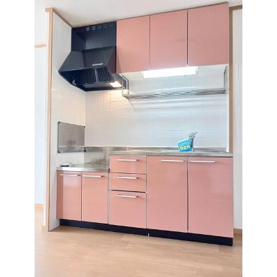 サンクレストⅡ 201【管理NO：1-012404501-02010】 ★家具家電は申し込み後に搬入しますの物件画像