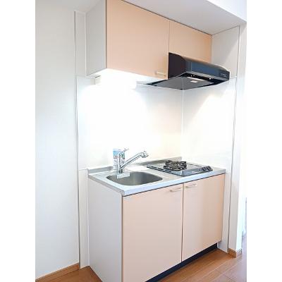 アルドーレ　（Ａｒｄｏｒｅ） 509【管理NO：1-014400301-05090】 ★家具家電は申し込み後に搬入しますの物件画像