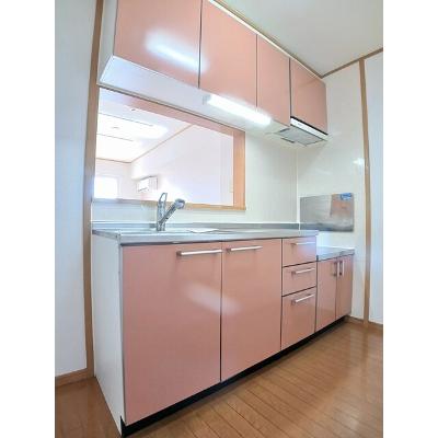 イルチングＢ 203【管理NO：1-013427002-02030】 ★家具家電は申し込み後に搬入します★の物件画像