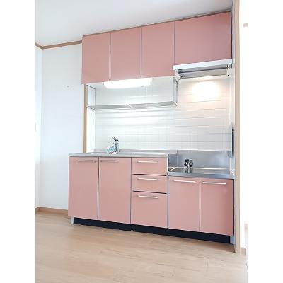サンクレストⅡ 203【管理NO：1-012404501-02030】 ★家具家電は申し込み後に搬入しますの物件画像