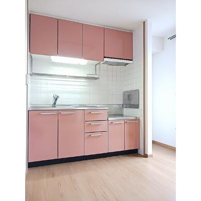 エテルネルＡ 201【管理NO：1-012403601-02010】 ★家具家電は申し込み後に搬入します★の物件画像