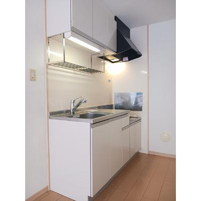 エクセルハイツ 203【管理NO：1-003872701-02030】 ★家具家電は申し込み後に搬入しますの物件画像