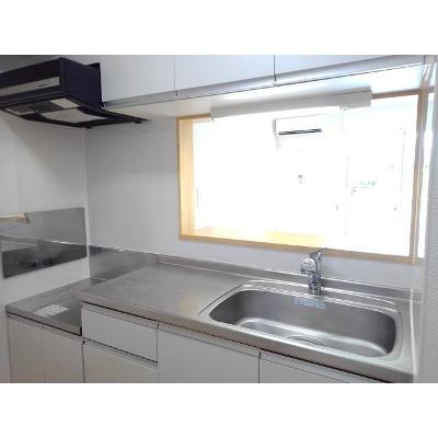 スカイツリーⅡ 102【管理NO：1-017825601-01020】 ★家具家電は申し込み後に搬入します★の物件画像
