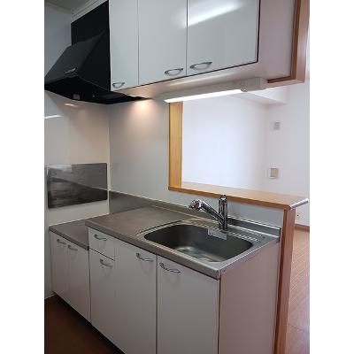 ラスターポイントⅤ 202【管理NO：1-014533001-02020】 ★家具家電は申し込み後に搬入します★の物件画像