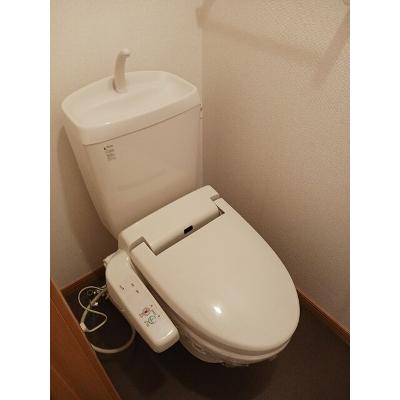サニー・レジデンスＥ 204【管理NO：1-014061903-02040】 ★家具家電は申し込み後に搬入します★の物件画像
