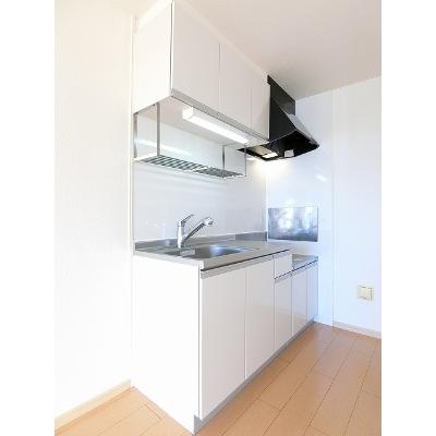 エルディムパーク 202【管理NO：1-004052201-02020】 ★家具家電は申し込み後に搬入しますの物件画像