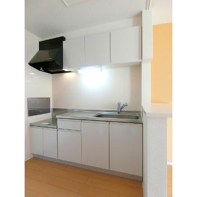 サファイアＡ 203【管理NO：1-020302501-02030】 ★家具家電は申し込み後に搬入しますの物件画像