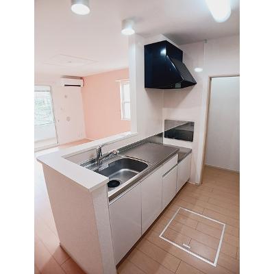 アフロディーテ 101【管理NO：1-017793201-01010】 ★家具家電は申し込み後に搬入しますの物件画像