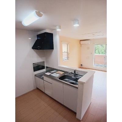 ラ・ルーチェⅠ 201【管理NO：1-019062301-02010】 ★家具家電は申し込み後に搬入しますの物件画像