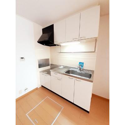 ローズシティー 103【管理NO：1-015047401-01030】 ★家具家電は申し込み後に搬入します 2026年08月下旬入居可能の物件画像