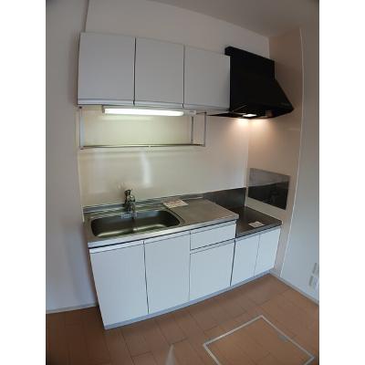 セレノ 102【管理NO：1-017347301-01020】 ★家具家電は申し込み後に搬入します★の物件画像