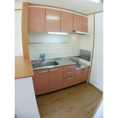 リヴァー 203【管理NO：1-013110701-02030】 ★家具家電は申し込み後に搬入しますの物件画像