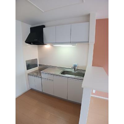 Ｆｒａｎｃ　Ｍａｉｓｏｎ　Ｂ 203【管理NO：1-020076202-02030】 ★家具家電は申し込み後に搬入しますの物件画像
