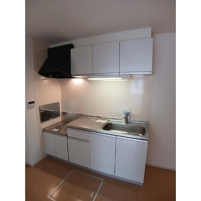 シエナ 101【管理NO：1-018790801-01010】 ★家具家電は申し込み後に搬入しますの物件画像