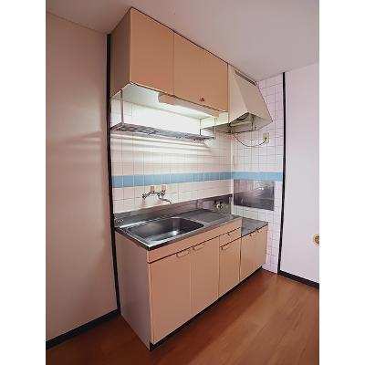 エルディム・福島Ｂ 102【管理NO：1-003146701-01020】 ★家具家電は申し込み後に搬入しますの物件画像