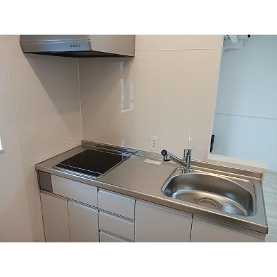 ヒカルサ羽生　サウス 202【管理NO：1-028399501-02020】 ★家具家電は申し込み後に搬入しますの物件画像