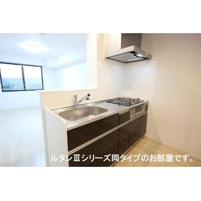 ネオ・ルピア 302【管理NO：1-028122201-03020】 ★家具家電は申し込み後に搬入します★ ★2026年10月上旬入居可能★の物件画像