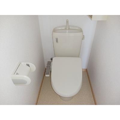 コモド・カーサ 204【管理NO：1-015495801-02040】 ★家具家電は申し込み後に搬入しますの物件画像
