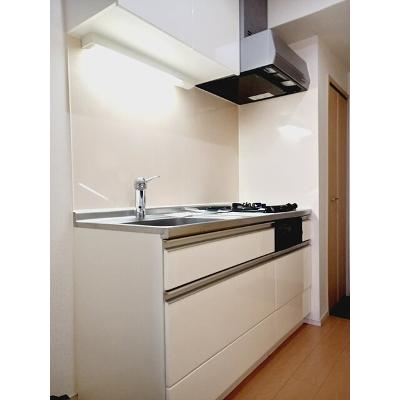 ラフィーネ 301【管理NO：1-019747401-03010】 ★家具家電は申し込み後に搬入しますの物件画像