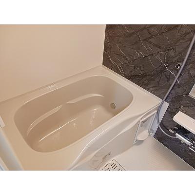 ヒカルサ狭山広瀬台サウス 301【管理NO：1-028496001-03010】 ★家具家電は申し込み後に搬入します★の物件画像