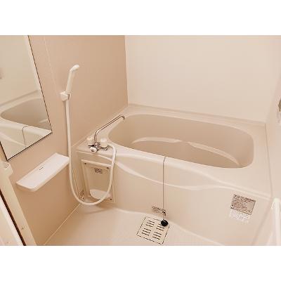 ビスキー　ローズ 103【管理NO：1-019196601-01030】 ★家具家電は申し込み後に搬入しますの物件画像