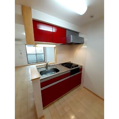 ラディエンス狭山台 306【管理NO：1-017576101-03060】 ★家具家電は申し込み後に搬入します 2026年08月中旬入居可能の物件画像
