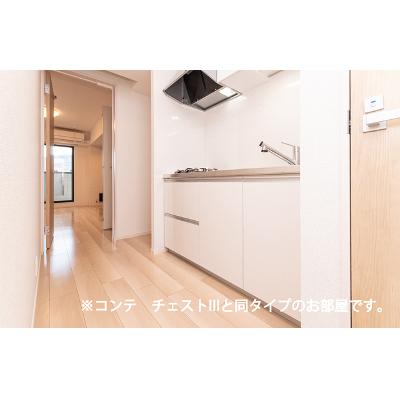 ルミナス　コート 302【管理NO：1-028673201-03020】 ★家具家電は申し込み後に搬入します 2026年11月上旬入居可能の物件画像