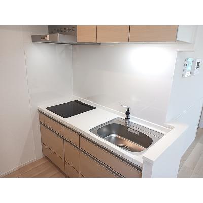 カーサ・ヴェルデ 201【管理NO：1-028652201-02010】 ★家具家電は申し込み後に搬入します★の物件画像