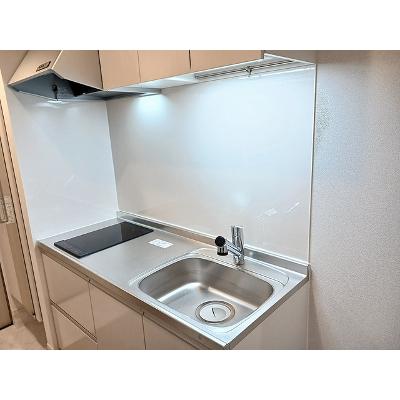 ヒカルサさいたま吉野 102【管理NO：1-028634301-01020】 ★家具家電は申し込み後に搬入します★の物件画像