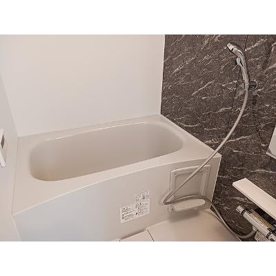 ヒカルサさいたま吉野 102【管理NO：1-028634301-01020】 ★家具家電は申し込み後に搬入します★の物件画像